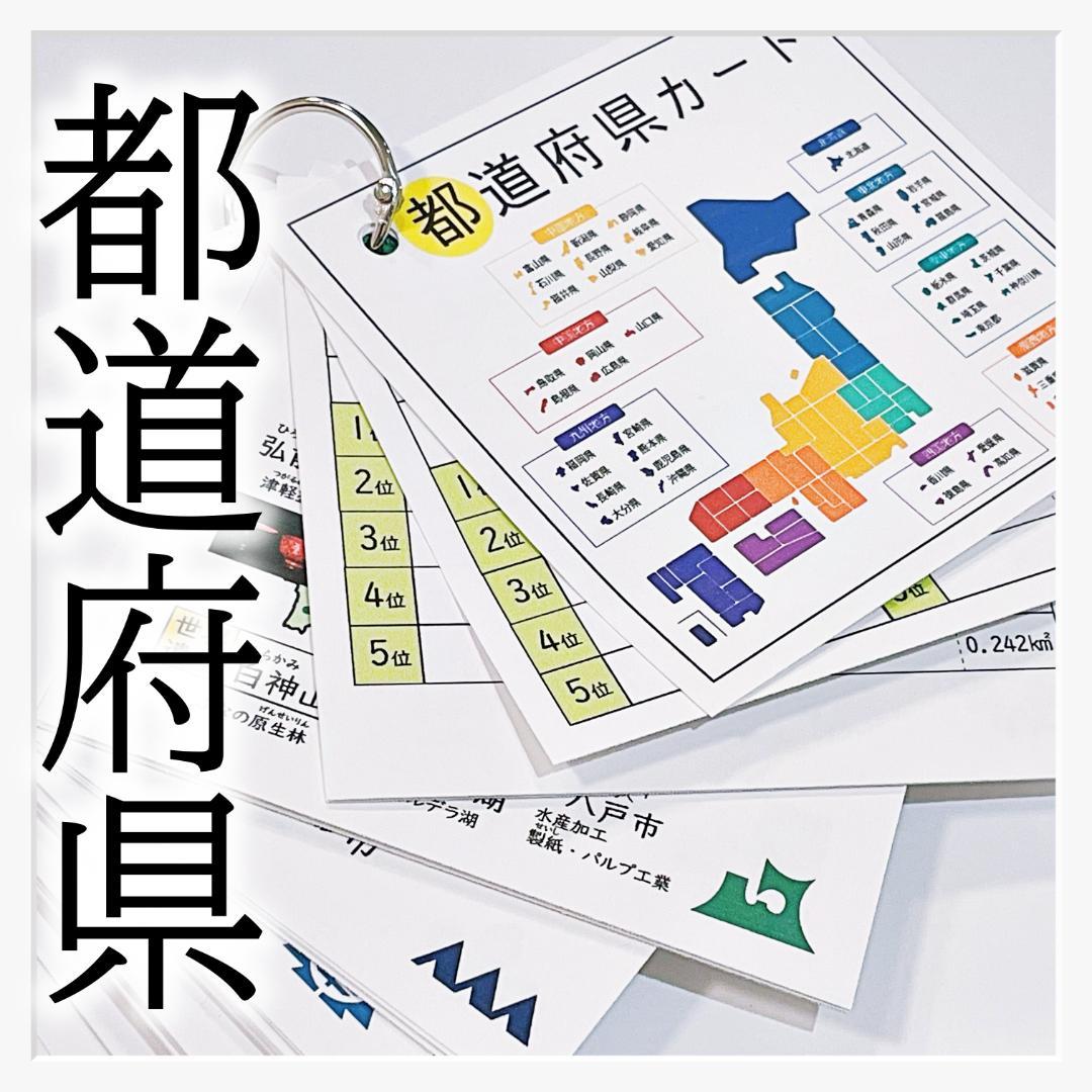 Chiii様 リクエスト 4点 まとめ商品　中学受験　暗記カード