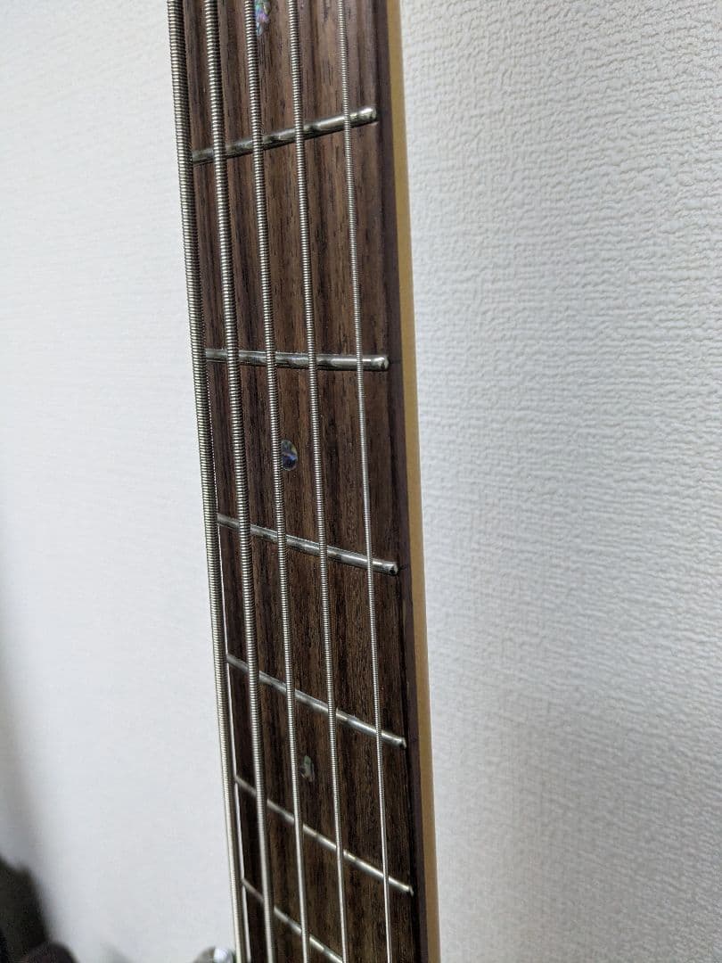 History　5弦ベース