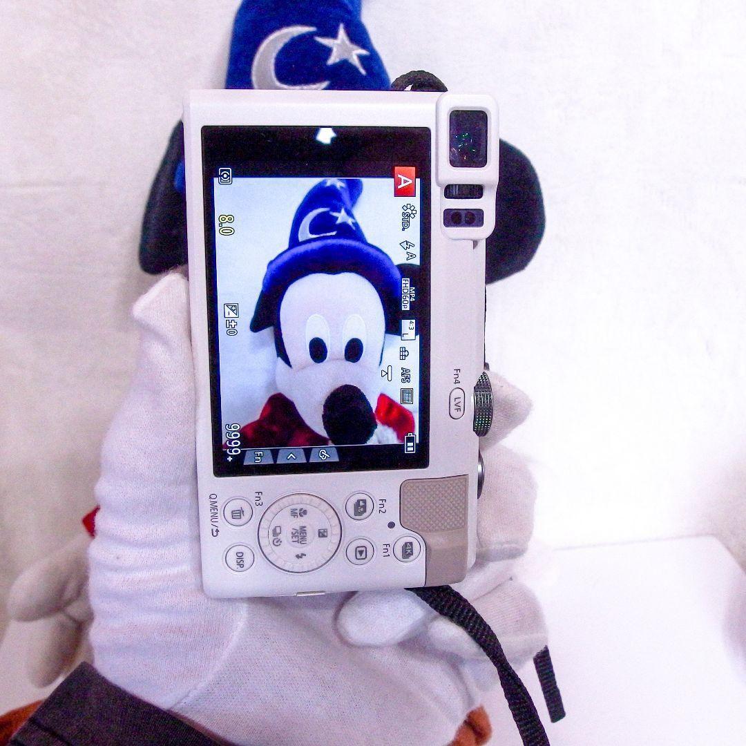 極上美品 Panasonic LUMIX DMC TZ85 革ケース 箱 説明書