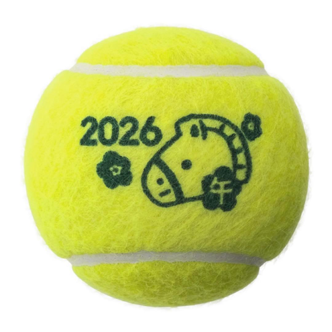 DUNLOP ダンロップ 干支 FORT フォート 10缶 2026年干支 新品