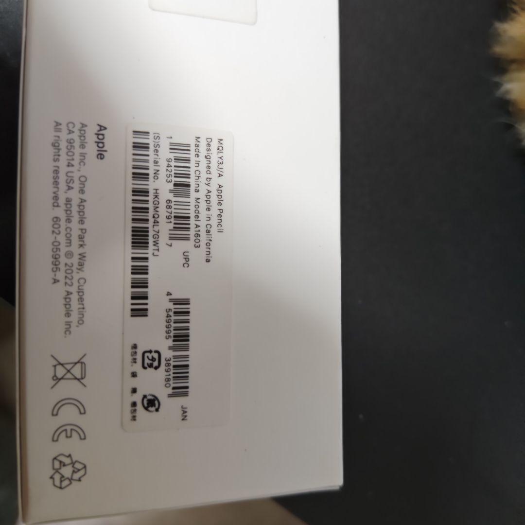 Apple Pencil 第1世代 純正USB-Cアダプタ付（キャップ傷あり）