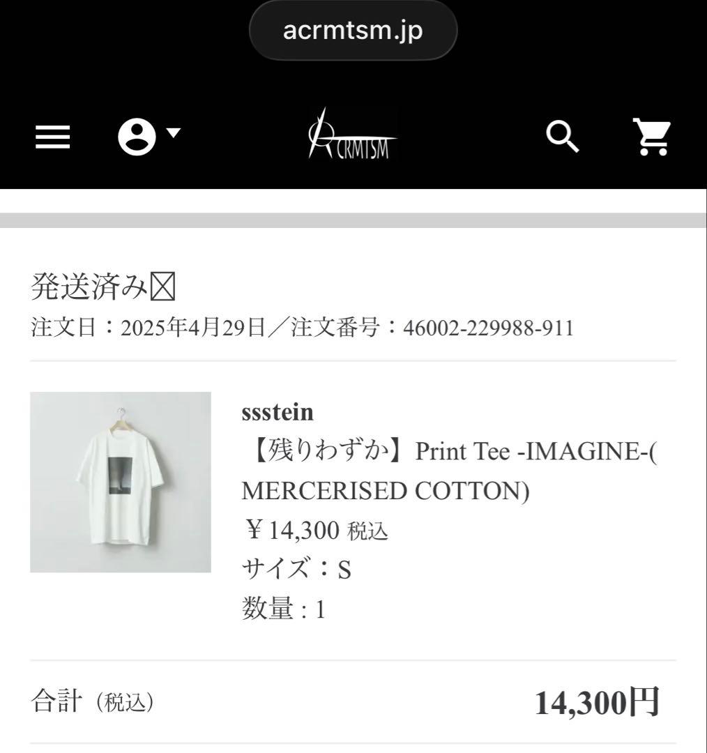 2025SS ssstein プリント Tシャツ ホワイトS 大山シュン