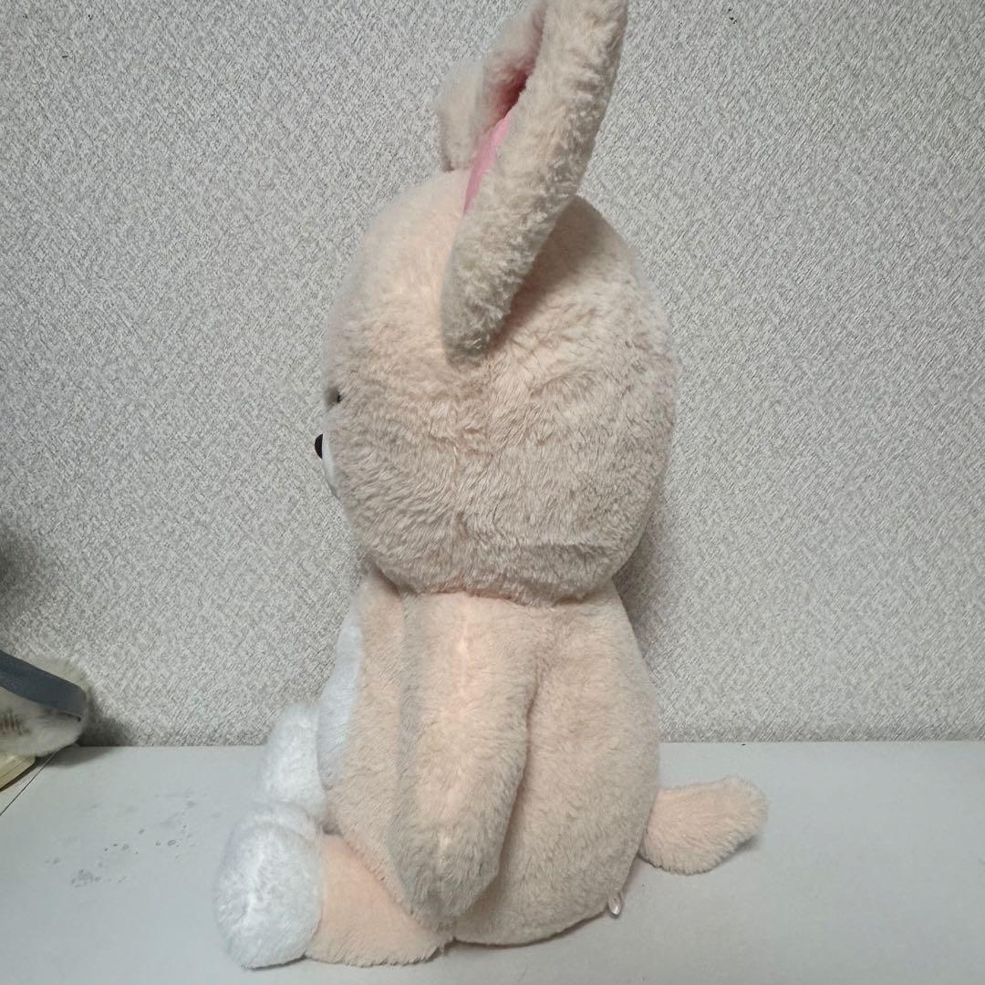 straykids テディベア ぬいぐるみ フォクシニー パスポートなし